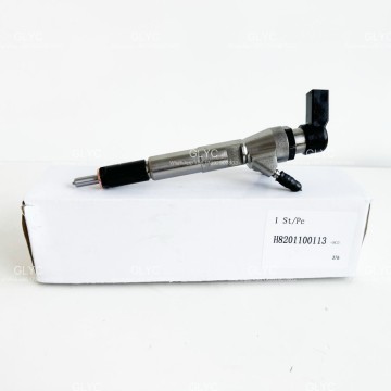 Competitive Price Common Rail Fuel Injector 166006212R  H8201100113 1660000Q1W  A2C59507596